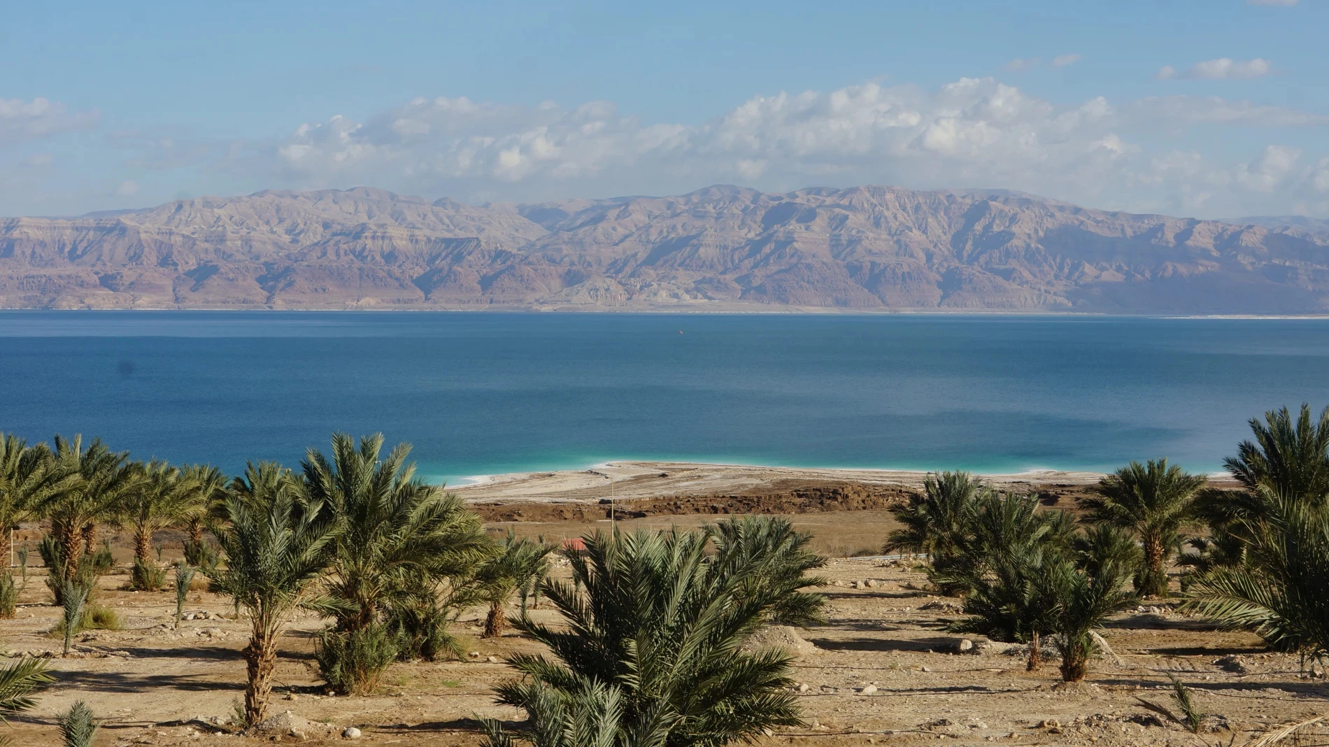 Dode Zee. Aan de overkant de bergen van Moab